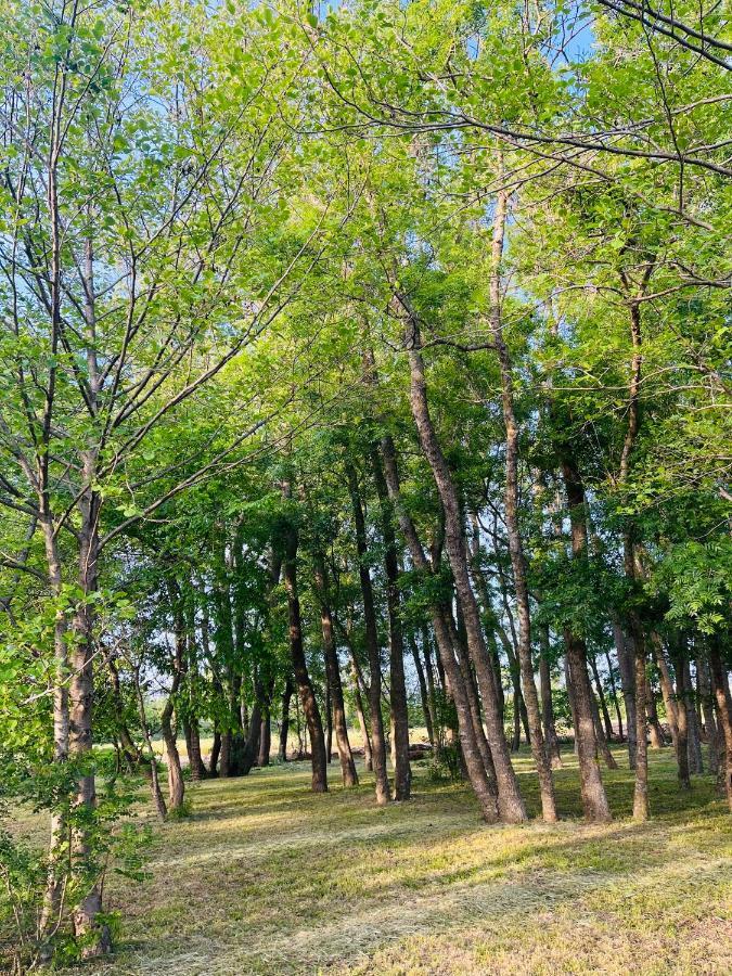 Apartments Masimo โดนิจ์ สโตจ์ ภายนอก รูปภาพ